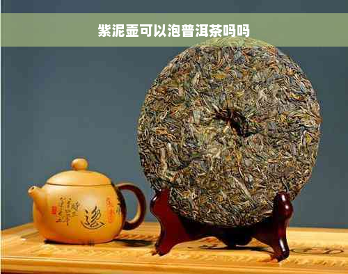 紫泥壶可以泡普洱茶吗吗