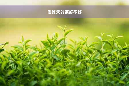 喝昨天的茶好不好