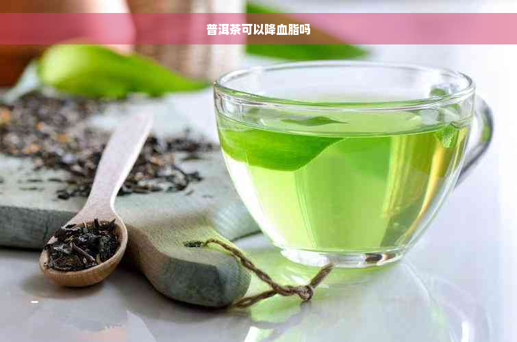 普洱茶可以降血脂吗