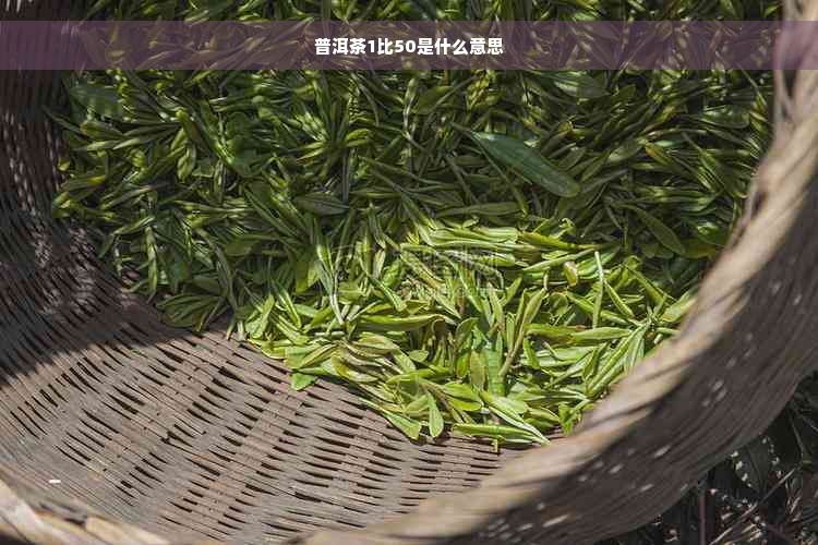 普洱茶1比50是什么意思