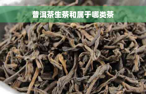 普洱茶生茶和属于哪类茶