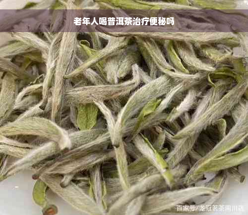 老年人喝普洱茶治疗便秘吗