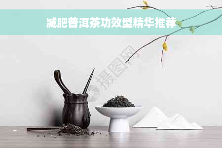 减肥普洱茶功效型精华推荐