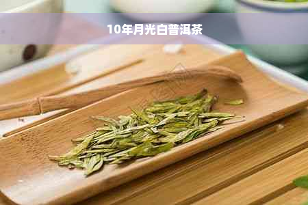 10年月光白普洱茶