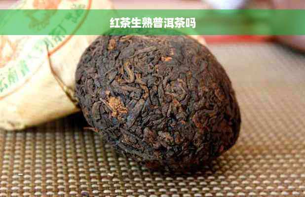 红茶生熟普洱茶吗