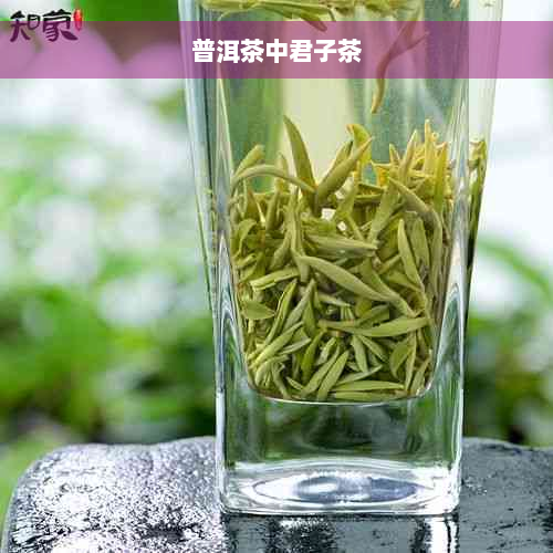 普洱茶中君子茶