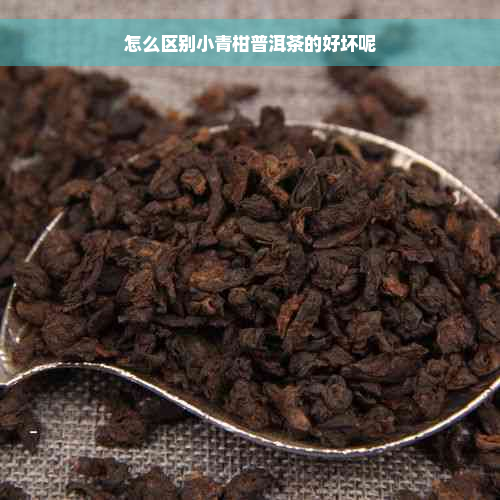 怎么区别小青柑普洱茶的好坏呢