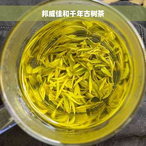 邦威佳和千年古树茶