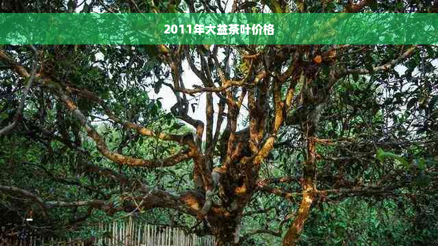 2011年大益茶叶价格