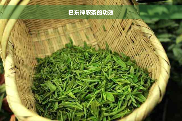 巴东神农茶的功效