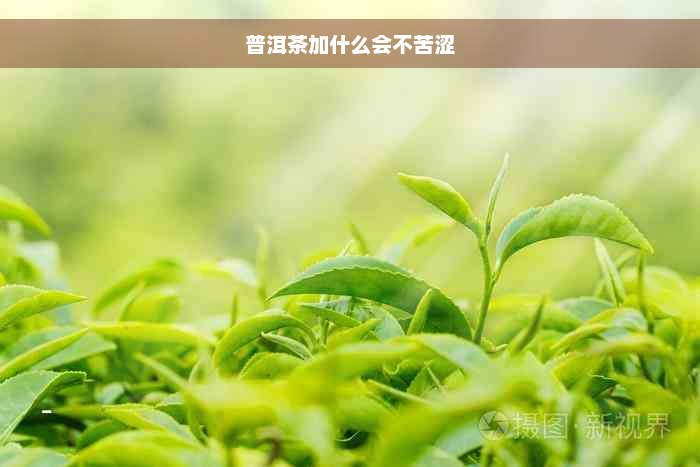 普洱茶加什么会不苦涩