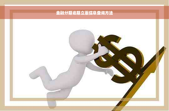 金融分期逾期立案信息查询方法