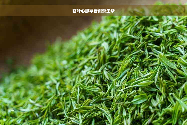 茗叶心那罕普洱茶生茶