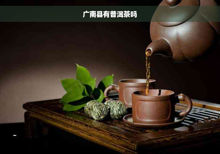 广南县有普洱茶吗