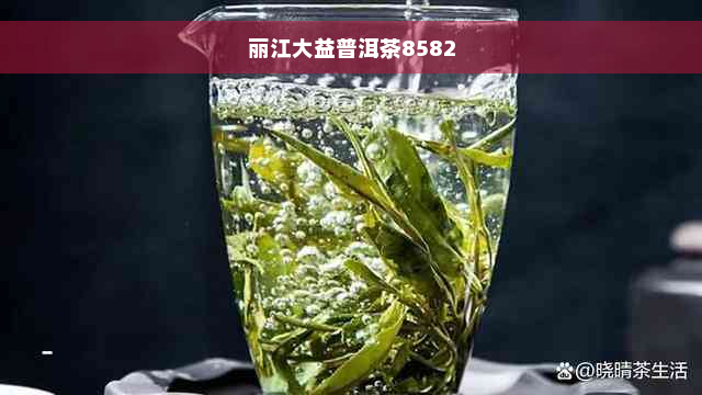 丽江大益普洱茶8582