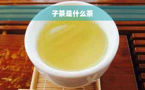 子茶是什么茶