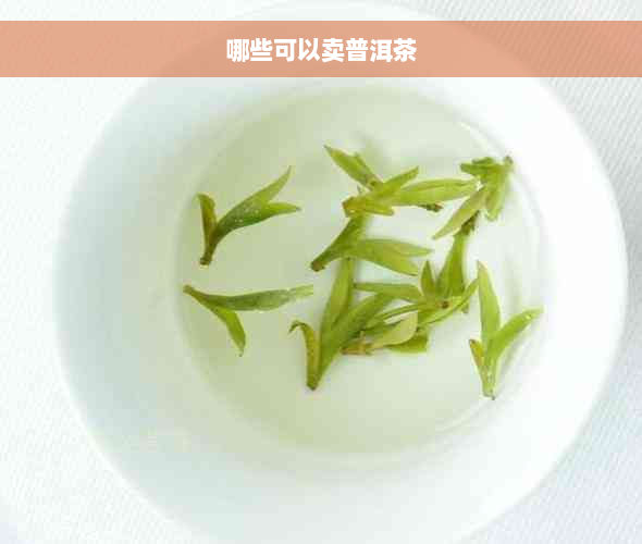 哪些可以卖普洱茶