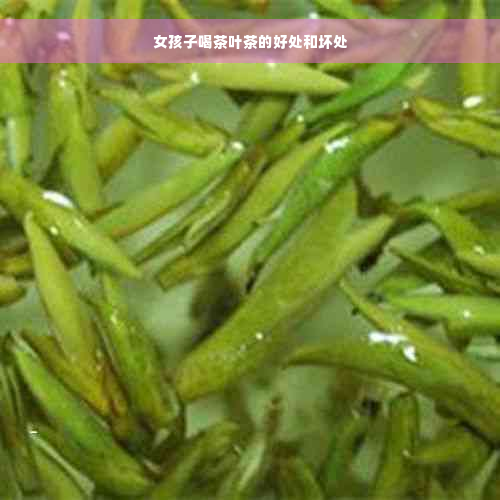 女孩子喝茶叶茶的好处和坏处