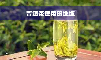 普洱茶使用的地域