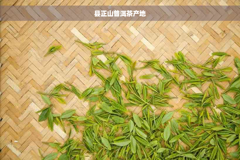 县正山普洱茶产地