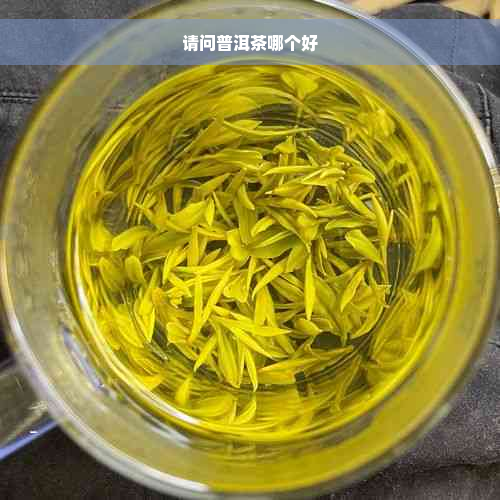 请问普洱茶哪个好