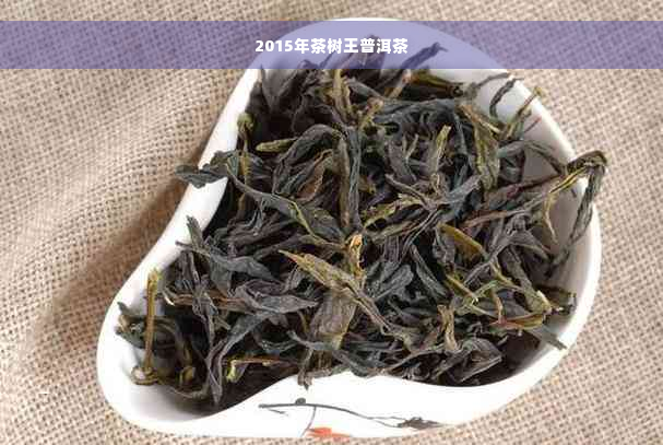 2015年茶树王普洱茶