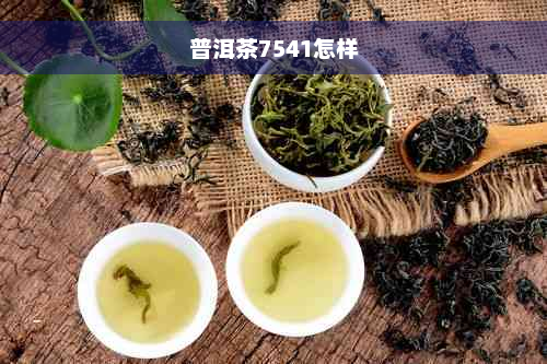 普洱茶7541怎样