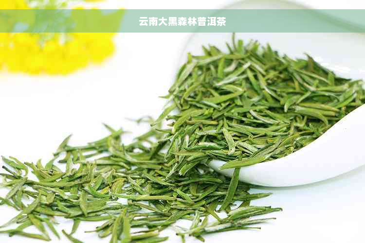 云南大黑森林普洱茶