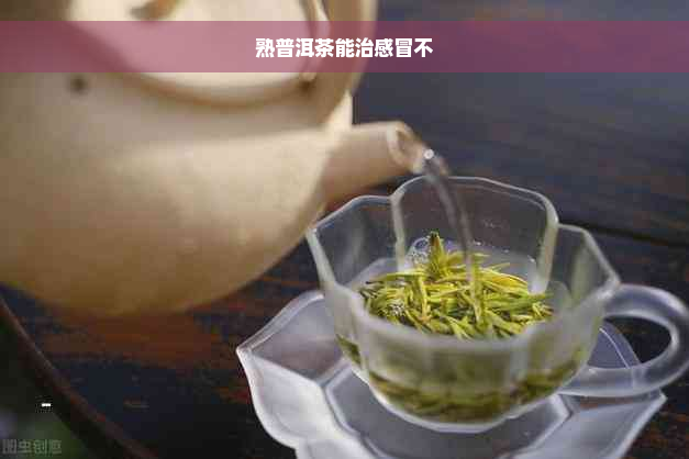 熟普洱茶能治感冒不