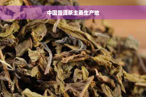 中国普洱茶主要生产地