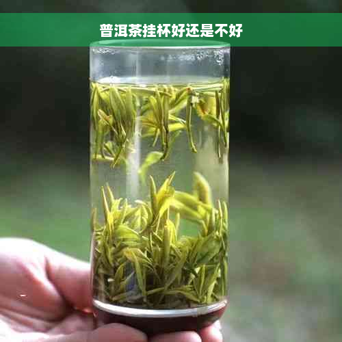 普洱茶挂杯好还是不好