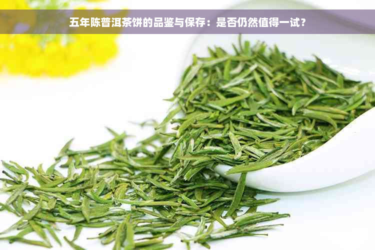 五年陈普洱茶饼的品鉴与保存：是否仍然值得一试？