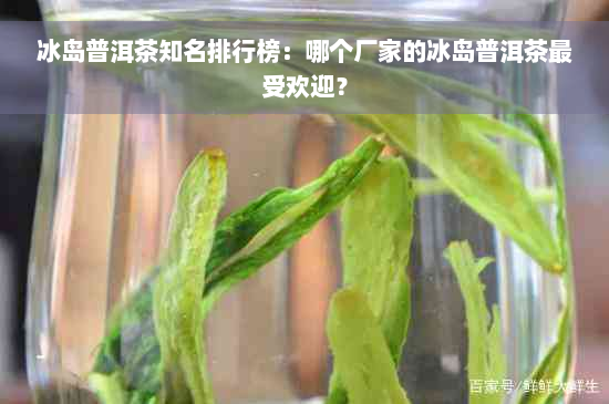 冰岛普洱茶知名排行榜：哪个厂家的冰岛普洱茶更受欢迎？