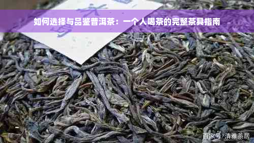 如何选择与品鉴普洱茶：一个人喝茶的完整茶具指南