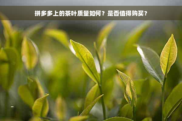 拼多多上的茶叶质量如何？是否值得购买？