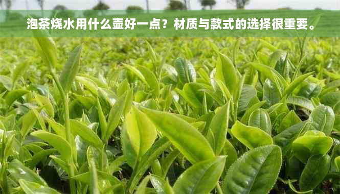 泡茶烧水用什么壶好一点？材质与款式的选择很重要。