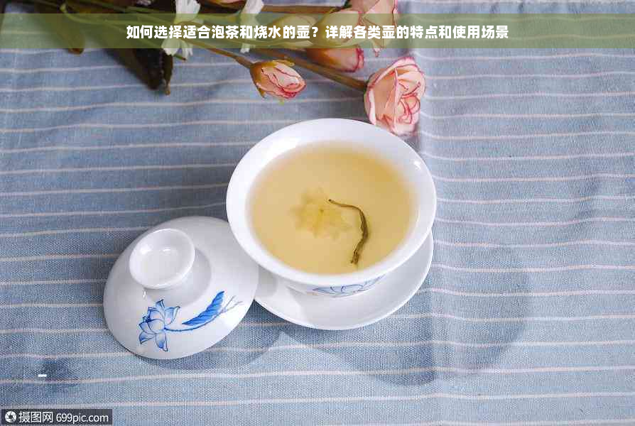 如何选择适合泡茶和烧水的壶？详解各类壶的特点和使用场景