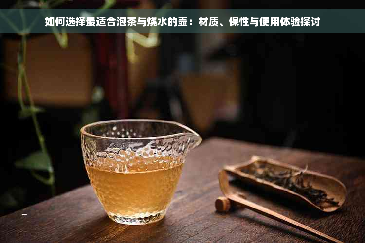 如何选择最适合泡茶与烧水的壶：材质、保性与使用体验探讨