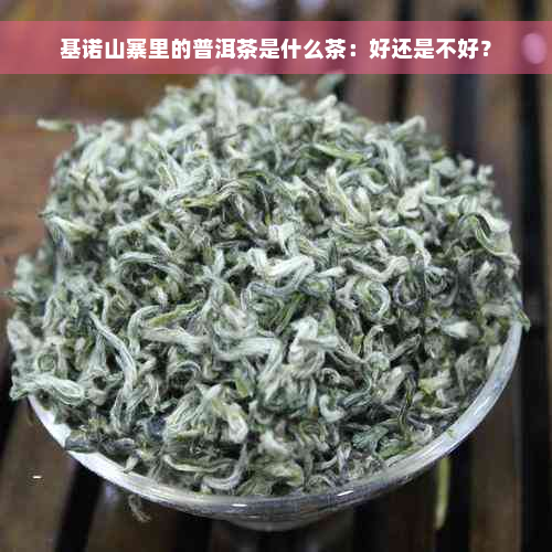 基诺山寨里的普洱茶是什么茶：好还是不好？