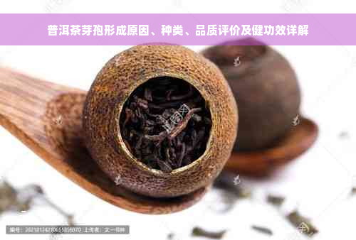 普洱茶芽孢形成原因、种类、品质评价及健功效详解