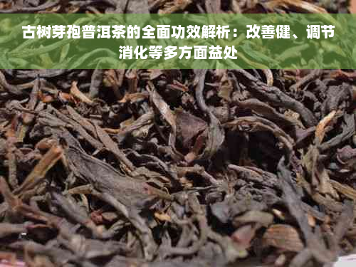 古树芽孢普洱茶的全面功效解析：改善健、调节消化等多方面益处