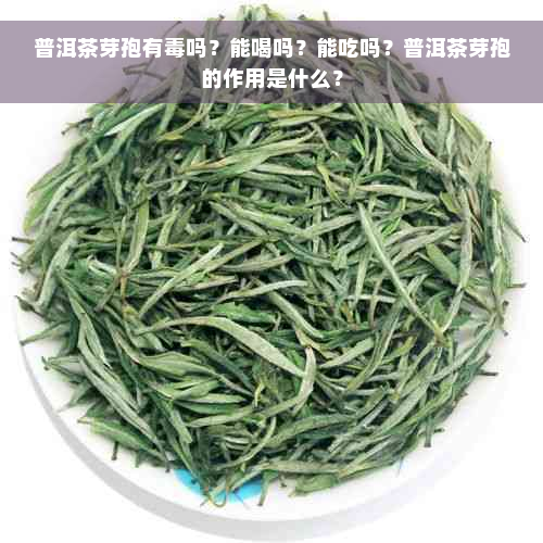 普洱茶芽孢有毒吗？能喝吗？能吃吗？普洱茶芽孢的作用是什么？