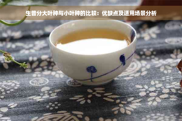 生普分大叶种与小叶种的比较：优缺点及适用场景分析