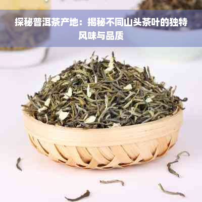 探秘普洱茶产地：揭秘不同山头茶叶的独特风味与品质