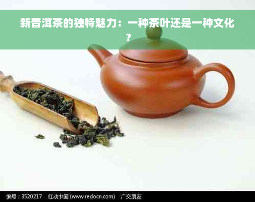 新普洱茶的独特魅力：一种茶叶还是一种文化？