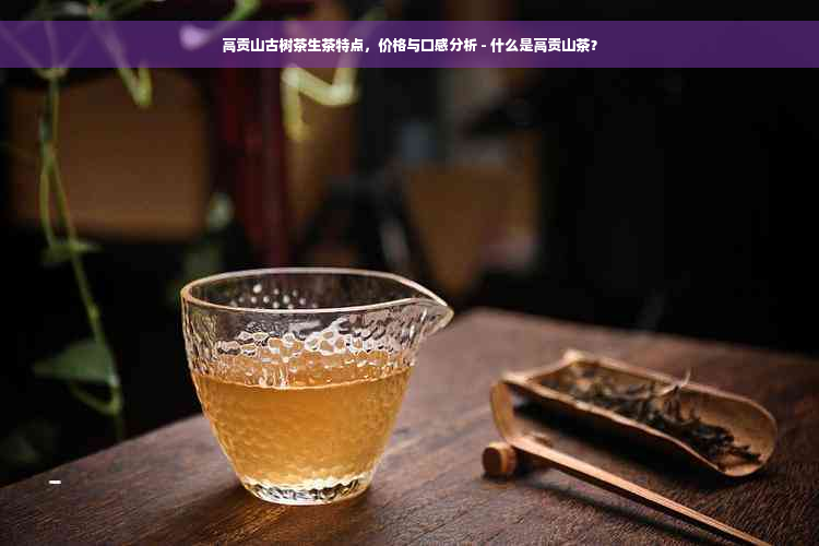 高贡山古树茶生茶特点，价格与口感分析 - 什么是高贡山茶？