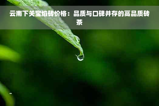 云南下关宝焰砖价格：品质与口碑并存的高品质砖茶