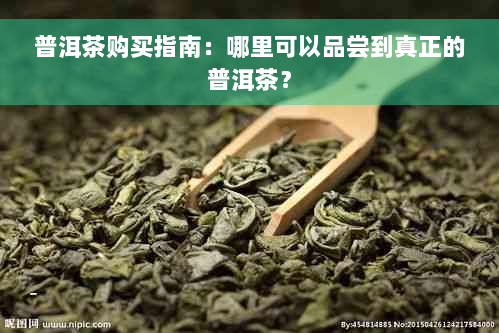 普洱茶购买指南：哪里可以品尝到真正的普洱茶？