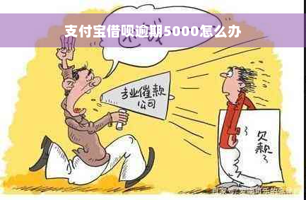 支付宝借呗逾期5000怎么办