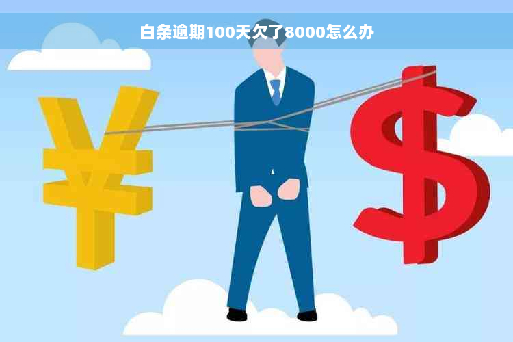 白条逾期100天欠了8000怎么办